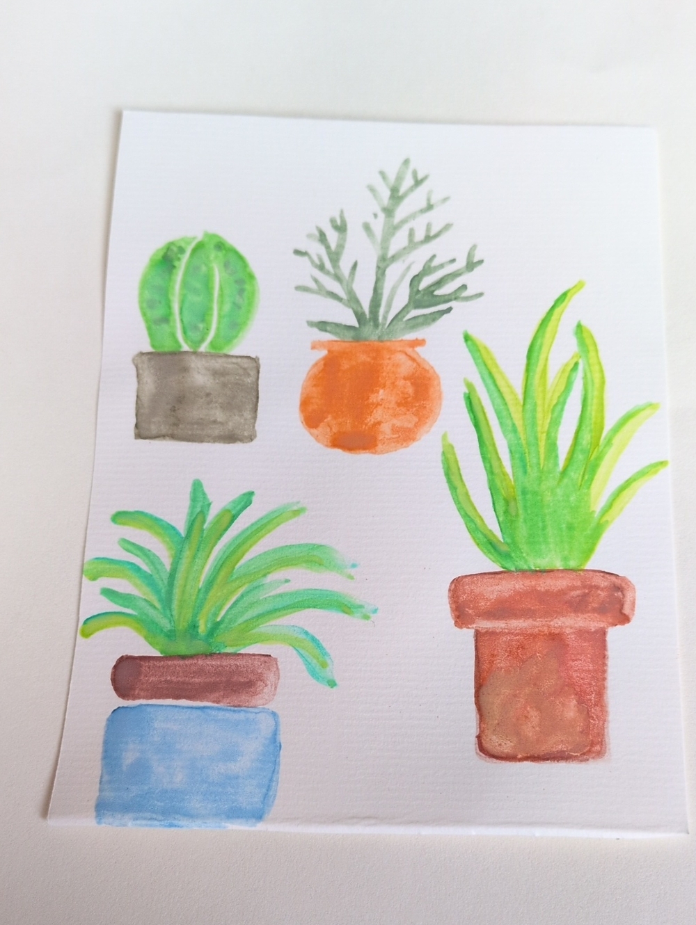 Watercolor Botanical Painting - Potted Succulents